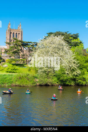 Coricals auf dem Fluss Wye, Hereford Cathedral. May Bank Holiday River Karneval Hereford GROSSBRITANNIEN. 2018 Stockfoto