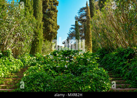 Lloret de Mar, Spanien - 11 April 2017: Treppe mit Efeu und Skulptur in Santa Clotilde Gärten in Lloret de Mar abgedeckt Stockfoto