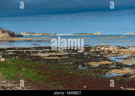 Strand von Saint-Vaast-La-Hougue, Frankreich, Normandie Stockfoto