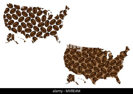 Vereinigte Staaten von Amerika - Karte von Coffee Bean, Vereinigten Staaten von Amerika (USA), (USA) Karte aus Kaffeebohnen, Stock Vektor