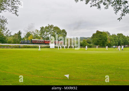 Ein "Terrier" Dampflok mit viktorianischen Kutschen auf der Rother Valley Railway (Kent und East Sussex) übergibt einen Cricket Match in Robertsbridge Stockfoto