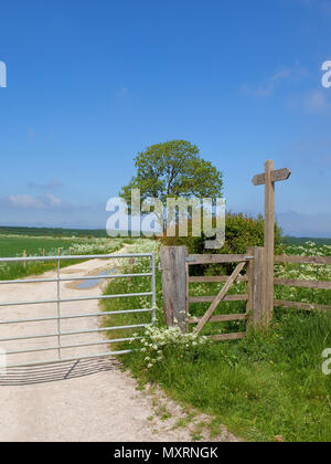 Eine hölzerne Tor und Wegweiser in der Nähe von einem Kalkstein und Esche auf das Münster Weise nahe Warter unter einem blauen Himmel in den Yorkshire Wolds im Sommer Stockfoto