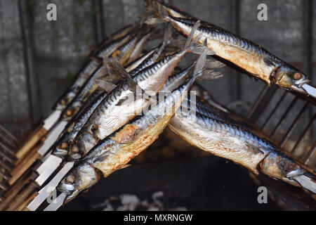 Leckere gegrillte Makrele Stockfoto