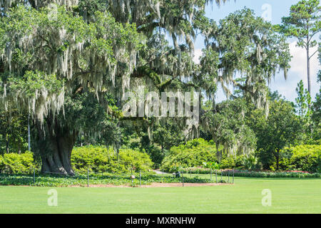 Airlie Gardens in Wilmington North Carolina zeigt die Schönheit des alten Südens. Hundert Jahre alten Eichen drapiert in Moos und die vielen Wasserwege, Flüsse Stockfoto