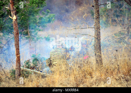 Ein Fallschirmjäger der 1. Geschwader, 91. Kavallerie-Regiment, 173. Luftlandebrigade, feuert während einer Live-Feuerübung eine M136E1 AT4-CS in Exercise Mountain Shock, Pocek Range, Slowenien. Bei der Übung werden US-amerikanische und slowenische Streitkräfte in rascher Dislozierung, taktischer Koordinierung, Betrieb von Waffensystemen, Teamzusammenhalt und Interoperabilität geschult. Verbesserung der Bereitschaft und der Zusammenarbeit zwischen NATO-Verbündeten in Krisenreaktionsszenarien. Stockfoto