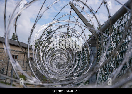 Stacheldraht auf Metall Zaun im Gefängnishof. Stockfoto