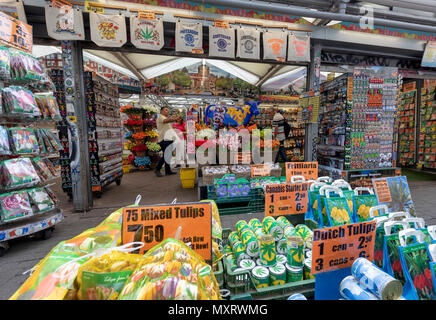AMSTERDAM, NIEDERLANDE - 27. Mai: Tulip Blumen, Lampen und Cannabis samen sind für Verkauf an den Blumenmarkt (Niederländisch: Bloemenmarkt) am 27. Mai 2018 in Amsterdam, Niederlande. Der Blumenmarkt ist ein beliebtes Ziel von Touristen. Stockfoto