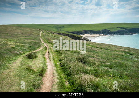 Der South West Coast Path auf West Pentire in Newquay in Cornwall. Stockfoto