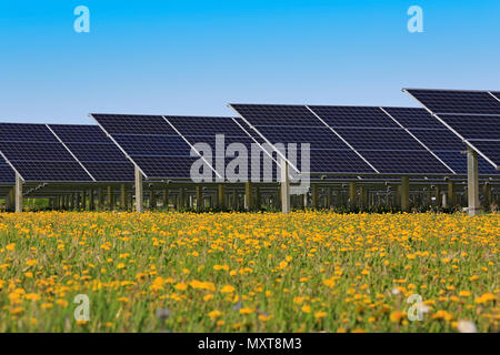 Solarzellen auf eine grüne Wiese mit gelben Blumen und blauer Himmel im Frühjahr. Stockfoto