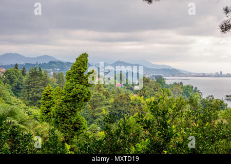 Blick auf Batumi Skyline aus der Ferne botanischer Garten, Georgia Stockfoto