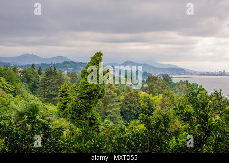 Blick auf Batumi Skyline aus der Ferne botanischer Garten, Georgia Stockfoto