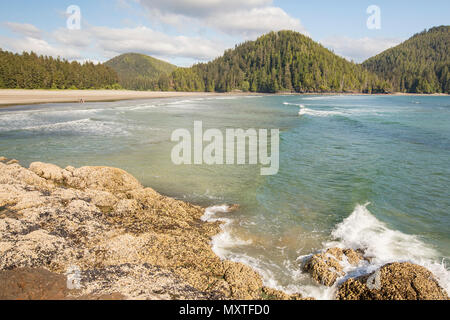 Vancouver Island. San Josef Bay in Cape Scott Provincial Park. Strand. Stockfoto