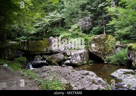 Akame 48 Wasserfälle: geheimnisvolle Landschaft mit riesigen Bäumen und riesigen Moos bewachsen Felsformationen, unberührte Natur, grüne Vegetation, Wasserfällen Stockfoto