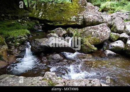 Akame 48 Wasserfälle: geheimnisvolle Landschaft mit riesigen Bäumen und riesigen Moos bewachsen Felsformationen, unberührte Natur, grüne Vegetation, Wasserfällen Stockfoto