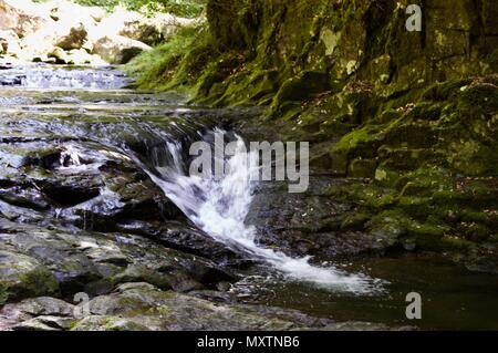 Akame 48 Wasserfälle: geheimnisvolle Landschaft mit riesigen Bäumen und riesigen Moos bewachsen Felsformationen, unberührte Natur, grüne Vegetation, Wasserfällen Stockfoto