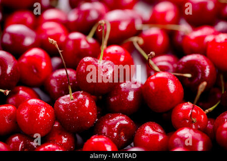 Kirschen mit Wassertropfen header. Makro Beeren shot mit Kopie Raum Stockfoto