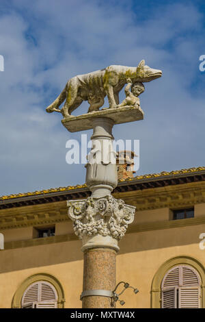 Blick auf dem Kapitol Wolf Statue in Siena, Italien Stockfoto