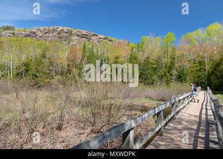 Ontonagon, Michigan - ein Fuß-Brücke führt im Norden Mirror Lake Trail über den großen Karpfen Fluss in Porcupine Mountains Wilderness State Park. Stockfoto