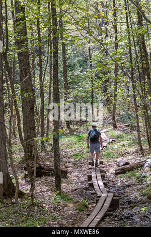 Ontonagon, Michigan - ein Wanderer auf der Promenade auf einem nassen Abschnitt der kleinen Karpfen River Trail in Porcupine Mountains Wilderness State Park. Stockfoto