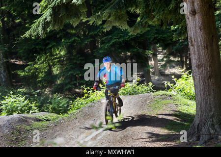 Mountainbiken in den königlichen Wald von Dean, Gloucestershire. Stockfoto