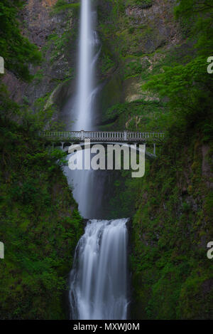 Multnomah Falls, Columbia River Gorge, Oregon mit üppigem Sommergrün Stockfoto