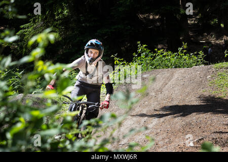 Mountainbiken in den königlichen Wald von Dean, Gloucestershire. Stockfoto