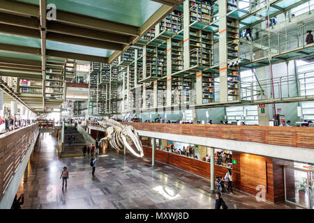 Mexiko-Stadt,Hispanic,Mexican,Buenavista,Biblioteca Vasconcelos Öffentliche Bibliothek,Zeitgenössische Architektur,Alberto Kalach,Interieur i Stockfoto