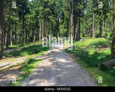 Wald am Feldberg in der Region Taunus in Hessen, Deutschland Stockfoto