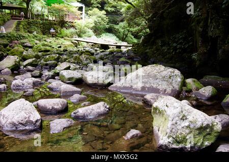 Akame 48 Wasserfälle: geheimnisvolle Landschaft mit riesigen Bäumen und riesigen Moos bewachsen Felsformationen, unberührte Natur, grüne Vegetation, Wasserfällen Stockfoto
