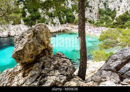 Ansicht der calanque von En-Vau, einem natürlichen Bach mit klarem Wasser und weißem Sandstrand in der Nähe von Marseille und Cassis, mit Sonnenbaden und Schwimmen Stockfoto