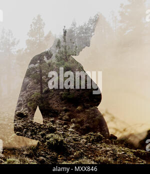 Double Exposure. Silhouette der schwangeren Frau mit Wald kombiniert Stockfoto