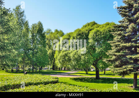 Frühling Landschaft von City Park. Grüne Ecke einer großen industriellen Stadt, mit laufstegen zwischen verschiedenen schattigen Laub- und Nadelbäume und Sträucher Stockfoto