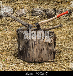 Ax klemmt in der treeold Axt in einem Baumstumpf hängen geblieben, auf einem Hintergrund von Stroh, Nahaufnahme Stockfoto