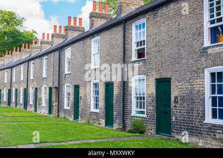 Reihe von restaurierten viktorianischen Backsteinhäusern mit grünen Türen auf einem lokalen Straße in Cambridge, Großbritannien Stockfoto