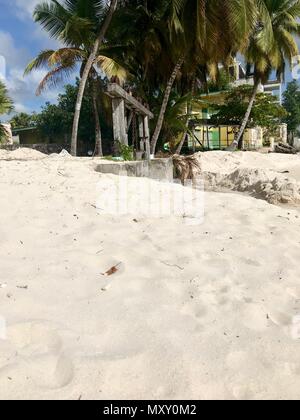 Schöne Worthing Strand mit weißem Sand und grünen Palmen mit bunten Häusern im Hintergrund auf der karibischen Insel Barbados Stockfoto