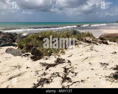 Idyllische scenic Welches Strand in Otley, Barbados (Karibik Insel - West Indies) mit riesigen schwarzen Steine, Gras, Sand und ein blauer Himmel mit weißen Wolken Stockfoto