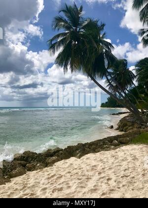 Idyllisch schönen Strand von Barbados (Karibik Insel) Erstellen der perfekten Urlaubsparadies: Niemand, Palmen, weißer Sand, türkises Meer Stockfoto