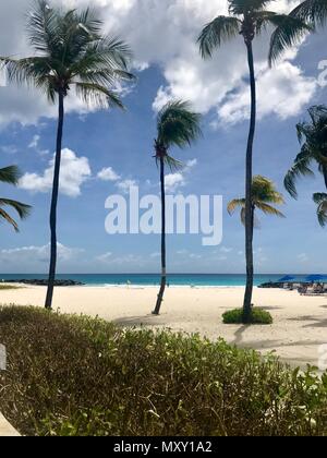 Idyllischen und schönen Strand von Barbados (Karibik Insel) Erstellen der perfekten Urlaubsparadies: Niemand, Palmen, weißer Sand, türkises Meer Stockfoto