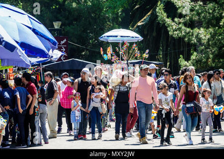 Mexiko-Stadt, Polanco, Hispanic Ethnic Bosque de Chapultepec Forest Park parque, Pfad, Verkäufer verkaufen Verkauf, Stände Stand Markt Menge, Familie Stockfoto
