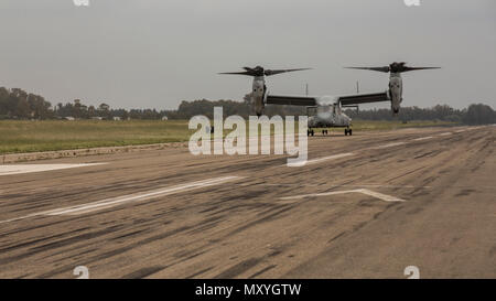 Ein U.S. Marine Corps MV-22 Osprey mit speziellen Zweck Marine Air-Ground Task Force-Crisis Response-Africa kommt für Joint STARS, ein bilaterales Training übung mit der Italienischen Streitkräfte und US-Marines, in Decimomannu Air Base, Sardinien, 9. Mai 2018. SPMAGTF-CR-AF eingesetzt Krise - Reaktion und Theater - Security Operations in Europa und Nordafrika zu führen. (U.S. Marine Corps Foto: Staff Sgt. Britni M. Garcia Grün/Freigegeben) Stockfoto