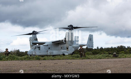 Us-Marines mit speziellen Zweck Marine Air-Ground Task Force-Crisis Response-Africa bieten Sicherheit für ein MV-22 Osprey auf taktischer Recovery von Flugzeugen und Personal (Trap) Training Mission während der Joint STARS, ein bilaterales Training übung mit der Italienischen Streitkräfte und US-Marines, in Salto di Quirra, Sardinien, 15. Mai 2018. SPMAGTF-CR-AF eingesetzt Krise - Reaktion und Theater - Security Operations in Europa und Nordafrika zu führen. (U.S. Marine Corps Foto: Staff Sgt. Britni M. Garcia Grün/Freigegeben) Stockfoto