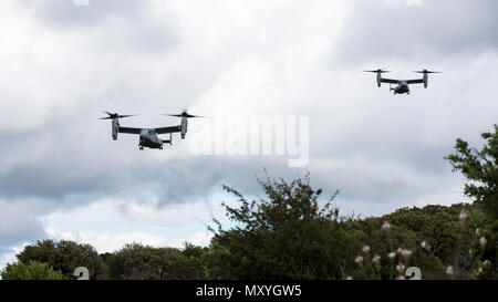 Us Marine Corps MV-22 Fischadler mit speziellen Zweck Marine Air-Ground Task Force-Crisis Response-Africa Ansatz der Landezone für die Teilnahme an einem taktischen Recovery von Flugzeugen und Personal (Trap) Training Mission während der Joint STARS, ein bilaterales Training übung mit der Italienischen Streitkräfte und US-Marines, in Salto di Quirra, Sardinien, 15. Mai 2018. SPMAGTF-CR-AF eingesetzt Krise - Reaktion und Theater - Security Operations in Europa und Nordafrika zu führen. (U.S. Marine Corps Foto: Staff Sgt. Britni M. Garcia Grün/Freigegeben) Stockfoto