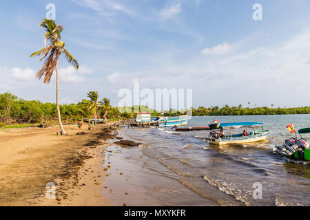 Carti in Panama Stockfoto