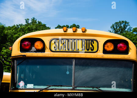 Schulbusse am Wochenende geparkt Stockfoto