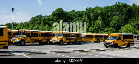 Linien der Schulbusse am Wochenende in White Plains, NY geparkt Stockfoto