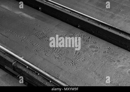 Schwarz-weiß Bild von Kanada Gans Fußspuren im Schlamm auf einem Boot Helling in Steveston, Kanada Stockfoto