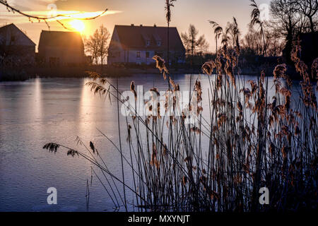 Dorfteich in Ihlow im Winter Stockfoto