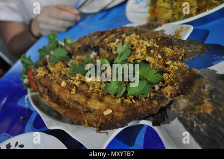 Gebratenem Knoblauch Fisch aus Nachtmarkt, Phuket, Thailand Stockfoto