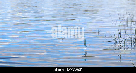 Nahaufnahme der Wasser Wellen Wellen, weich strukturierte seidig Muster und tintenverschmierten Reflexionen. Perfekt für Hintergründe und Banner oder Fine Art Canvas. Reed Stockfoto