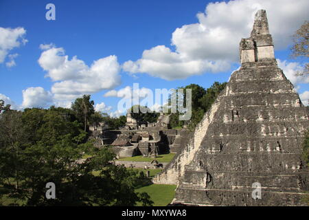 Nördlich der Akropolis, Tikal, Maya Stadt Guatemala Stockfoto